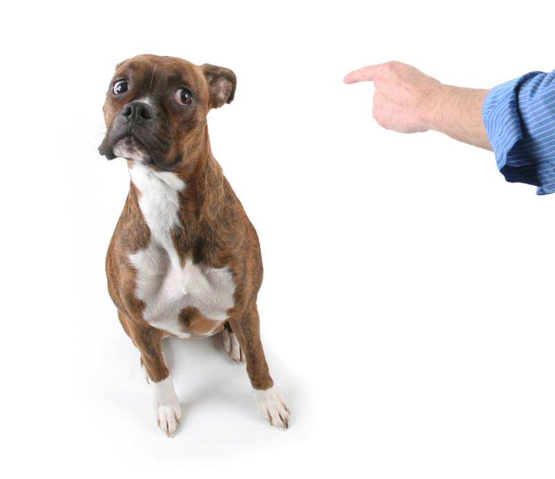 Strategic Steps for a Waste-Reduced Home